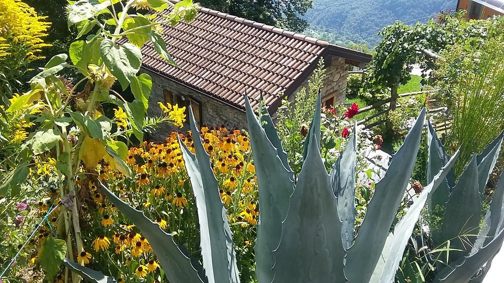 Agriturismo Zertin Gravedona Exterior foto